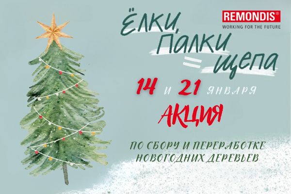 Собираем елки вместе с Ремондис Минск!