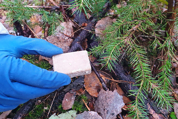 О проведении оральной иммунизации диких животных против бешенства на территории Брестской области